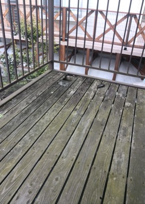 2017-02-11 13.18.21.jpg