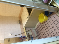 200330-siraisisama ub mae1.JPG