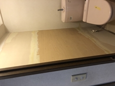 200507-moriokasama toire tyotyu2.JPG