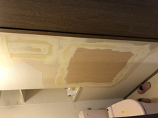 200507-moruokasama toire totyu1.JPG