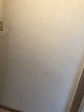 200926-132908_sigemorisama senmen mae2.JPG