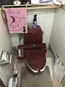 20180716 takedasama toire mae.jpg