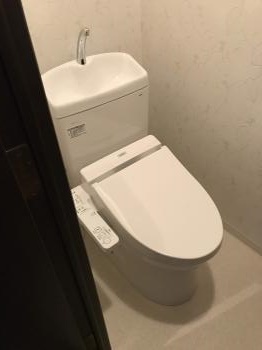 20181013 kawasama toire ato.jpg