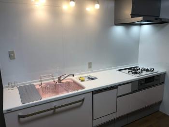 20190106 nagosisama sk ato1.jpg