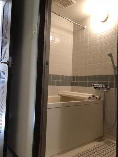 20190108 tamusama ub mae.jpg