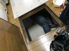 20200405 fujisama konnro totyuu1.jpg