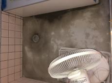 20200405 hokusama yokusou totyuu3.jpg