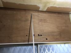 20200409 nemosama sk totyu1.jpg