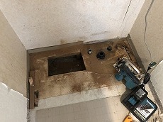 20200423 hondasama kesyoudai toyui.jpg