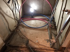 20200424 narukoto riniibio totyu2.jpg