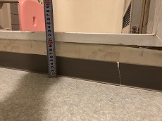 20200424 narukoto ub rinobio ub mae.jpg