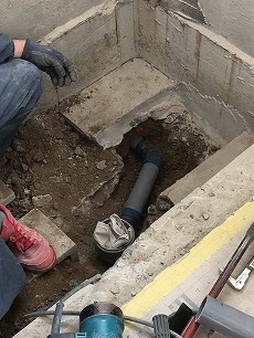 20200530 tsama yokusou totyu3.jpg