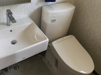 陶器のボウルでお手入れも簡単です。